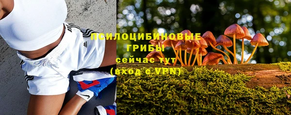 ГАЛЛЮЦИНОГЕННЫЕ ГРИБЫ Армянск
