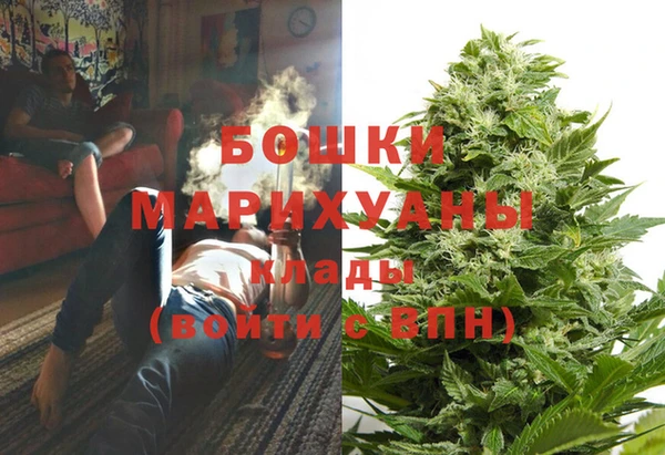 СК Аркадак
