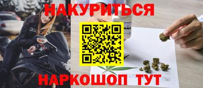 сатива Гай