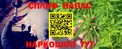 сатива Гай