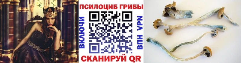 Галлюциногенные грибы Magic Shrooms наркота Самара