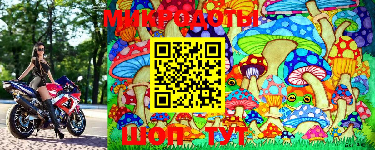 Самара  Псилоцибиновые грибы Psilocybine cubensis  Вход с VPN 