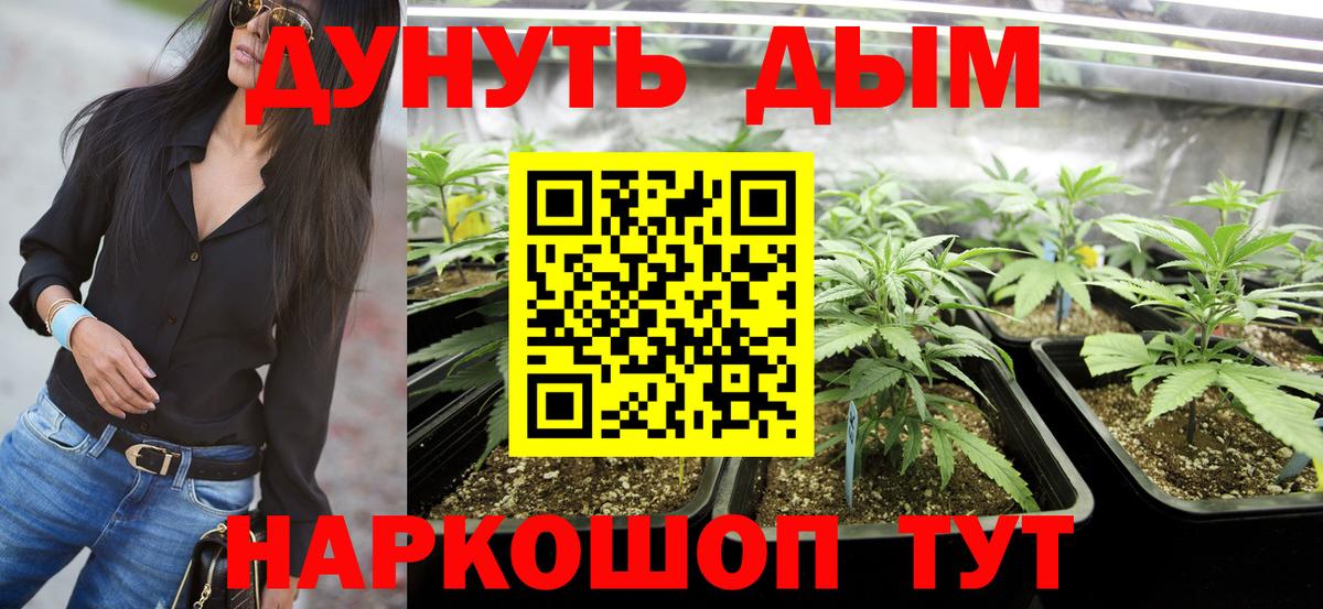 Каннабис гибрид  Вход с VPN  Самара  Каннабис индика  Марихуана конопля 